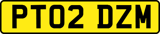 PT02DZM