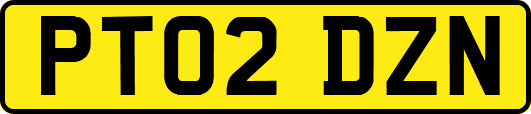 PT02DZN