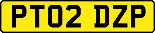 PT02DZP