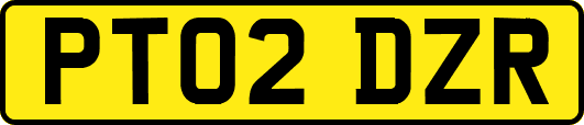 PT02DZR
