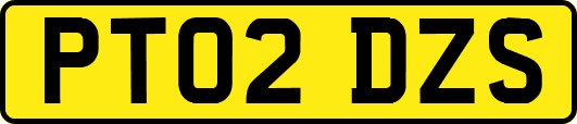 PT02DZS
