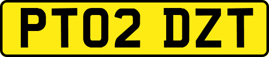 PT02DZT