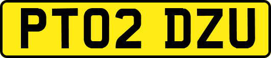 PT02DZU