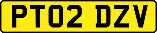 PT02DZV
