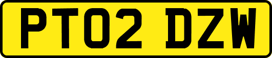 PT02DZW