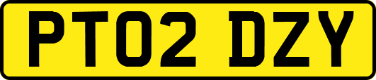 PT02DZY