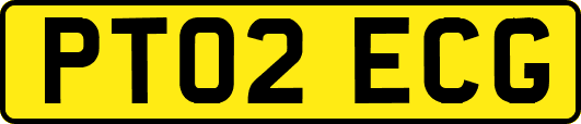 PT02ECG