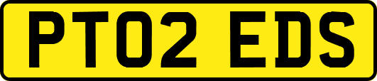 PT02EDS