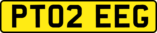 PT02EEG
