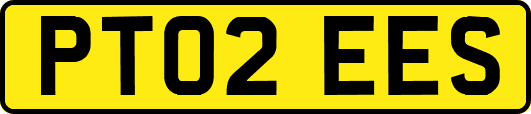 PT02EES