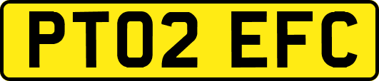 PT02EFC