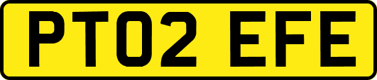 PT02EFE