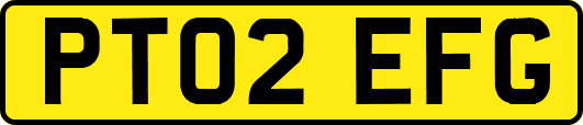 PT02EFG
