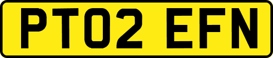 PT02EFN