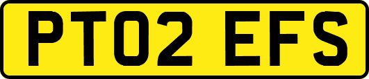 PT02EFS