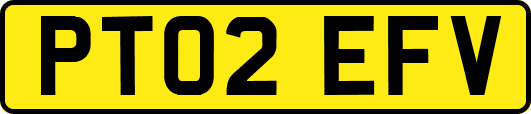 PT02EFV