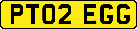 PT02EGG
