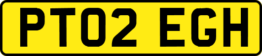 PT02EGH