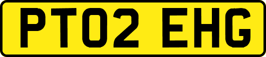 PT02EHG