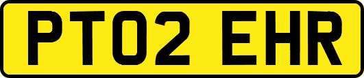 PT02EHR