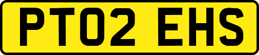 PT02EHS