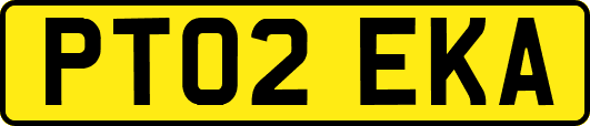 PT02EKA