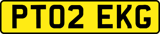 PT02EKG
