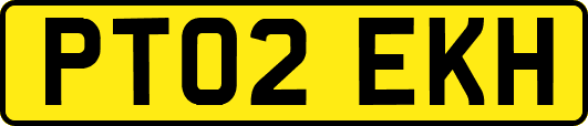 PT02EKH