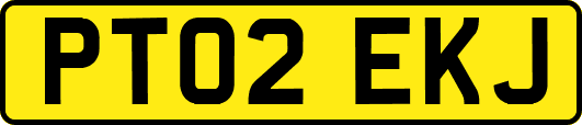 PT02EKJ