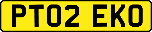 PT02EKO