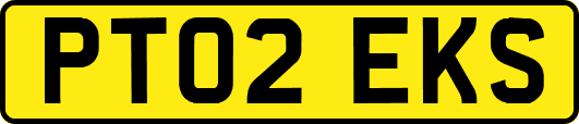PT02EKS