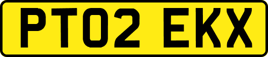 PT02EKX