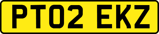 PT02EKZ