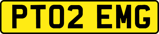 PT02EMG