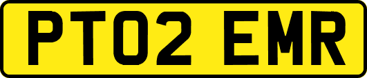 PT02EMR