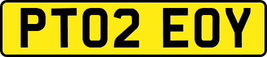 PT02EOY