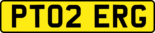 PT02ERG