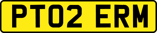 PT02ERM