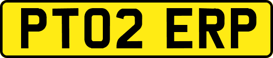 PT02ERP