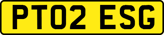 PT02ESG