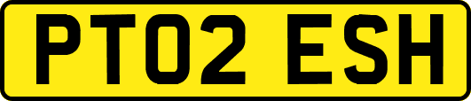 PT02ESH