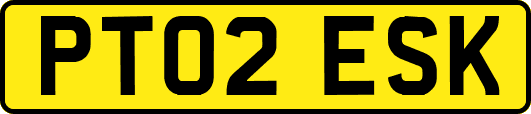 PT02ESK