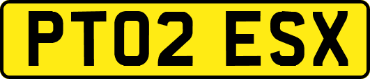 PT02ESX
