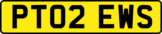 PT02EWS