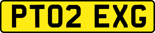 PT02EXG
