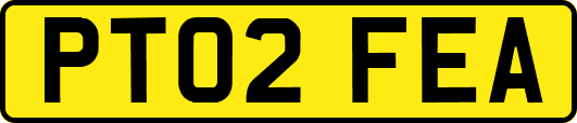 PT02FEA
