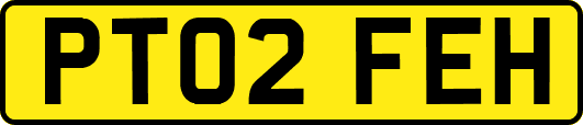 PT02FEH