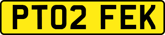 PT02FEK
