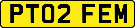 PT02FEM