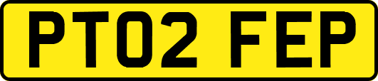 PT02FEP